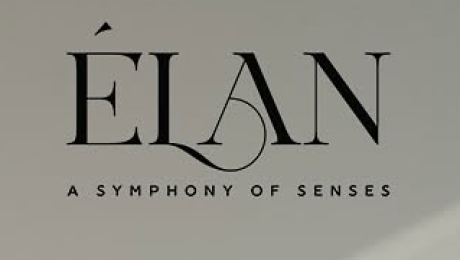 elan